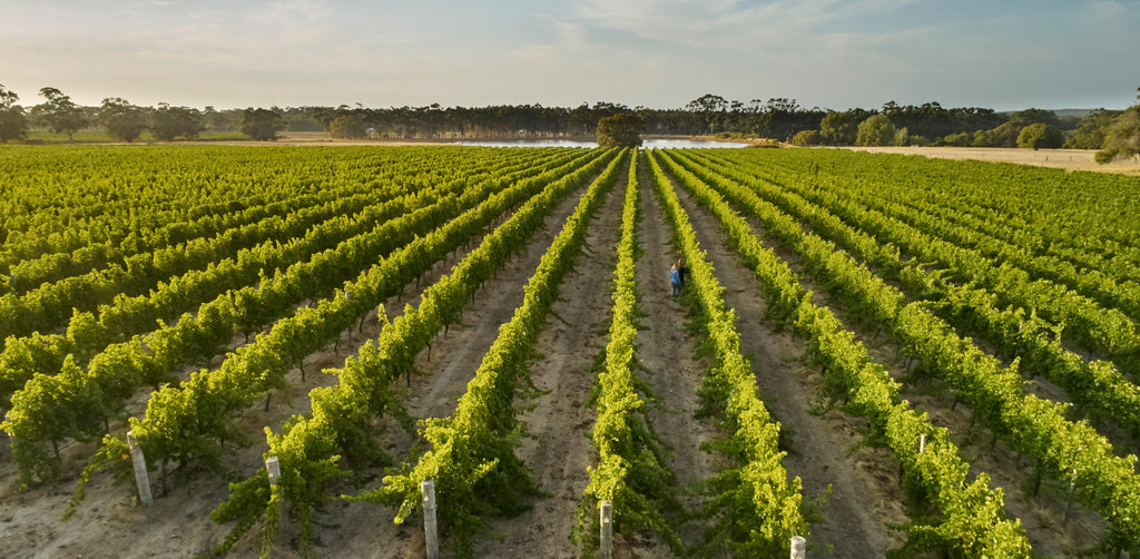 Western Australian Wineries