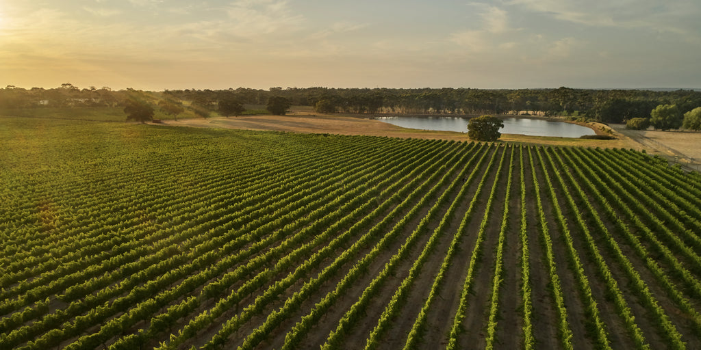 Great southern wineries, great southern wines, Western Australian wineries, Western Australian wines